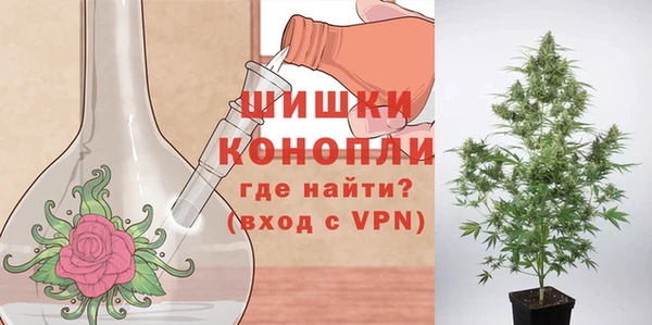стафф Белокуриха