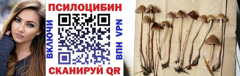 Псилоцибиновые грибы GOLDEN TEACHER  Ершов 