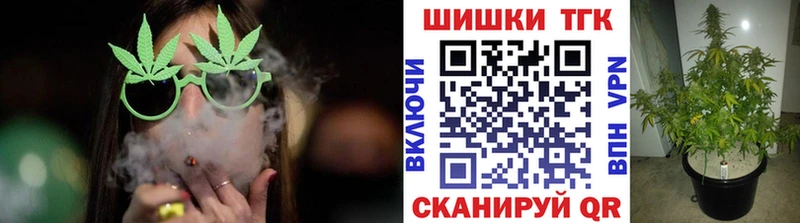 Канабис конопля Ершов